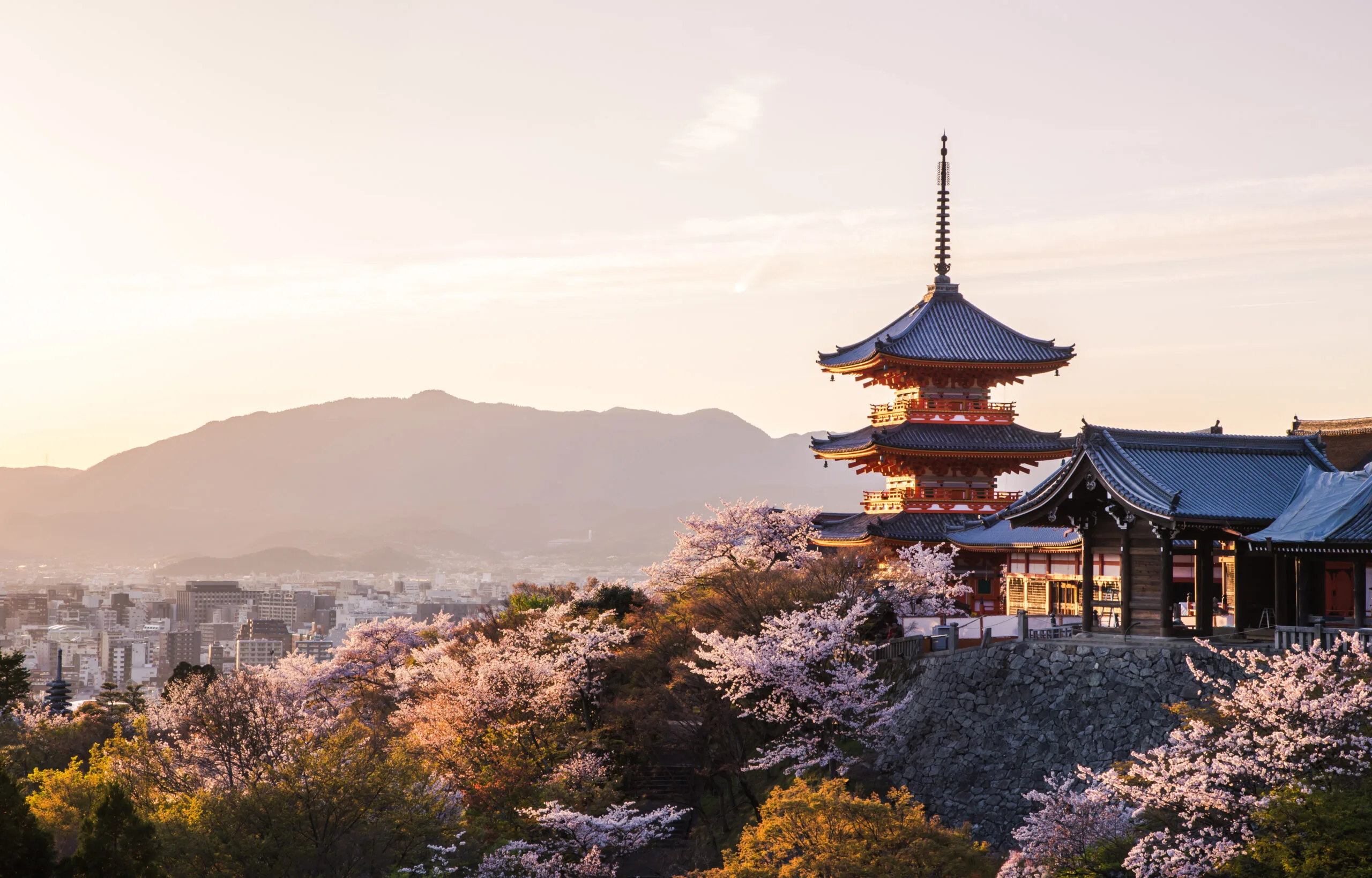 Temple japonais traditionnel entouré de cerisiers en fleurs au printemps
